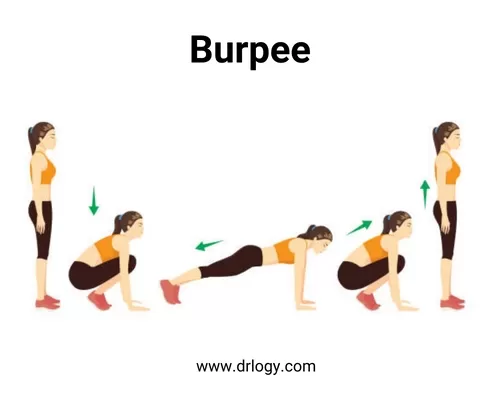 Burpees - Drlogy