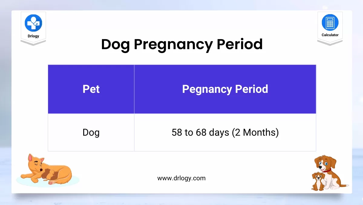 Best Dog Pregnancy Calculator Dog Pregnancy Due Date Drlogy