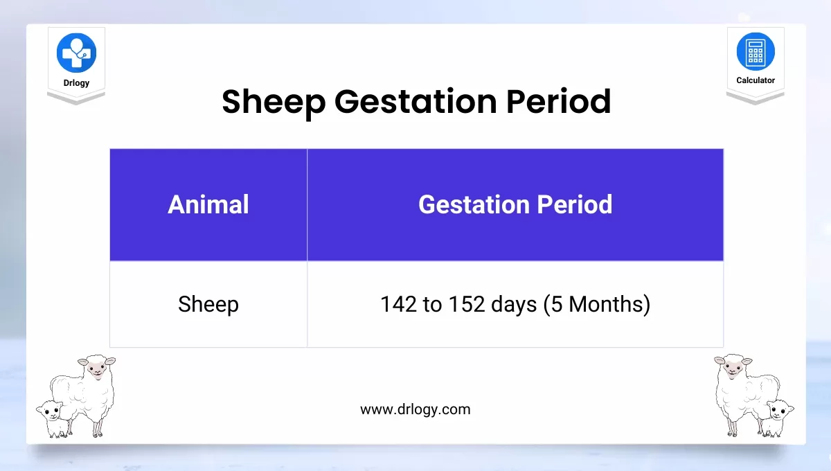 Sheep Pregnancy Calculator Sheep Gestation Calculator Drlogy Sheep Pregnancy Calculator Sheep Gestation Calculator Drlogy