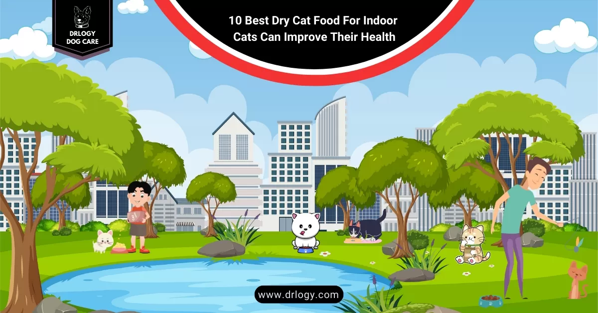 10 Best Dry Cat Food For Indoor Cats Can Improve Their Health