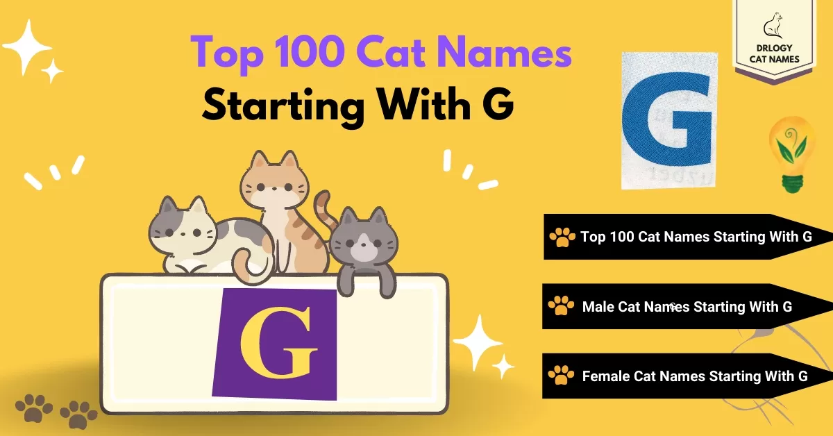 100 Best Cat Names Starting With G Alphabet Drlogy Cat Names Drlogy 100 Best Cat Names Starting With G Alphabet Drlogy Cat Names Drlogy