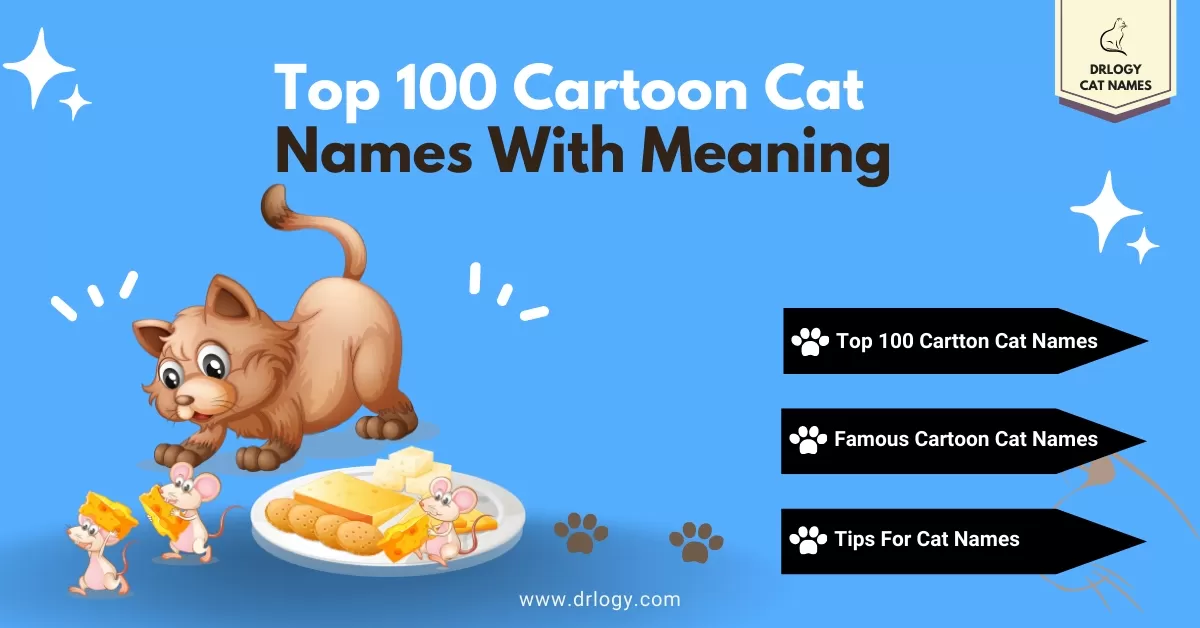 111 Most Famous Cartoon Cat Names Meaning Drlogy Cat Names