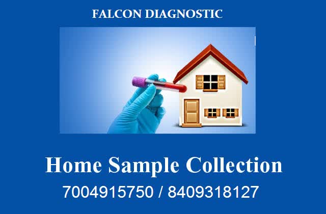 FALCON DIAGNOSTICS Images/Photos, Bihar, Patna