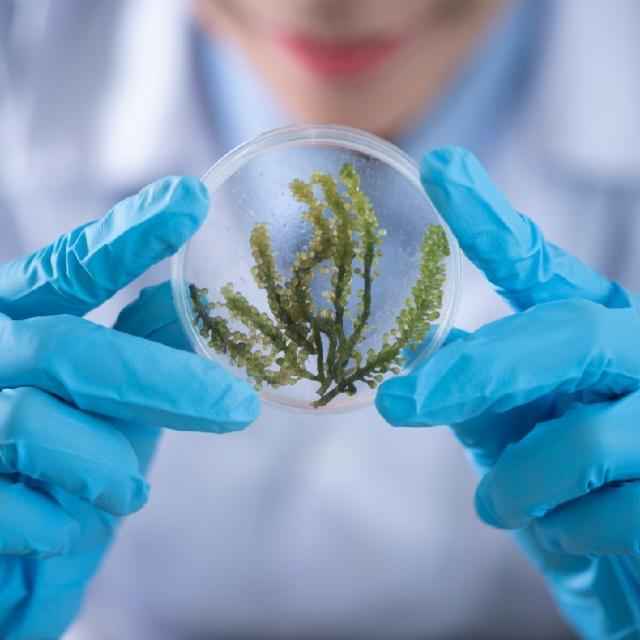 Kapoor Laboratory Images/Photos, Balongi, Mohali