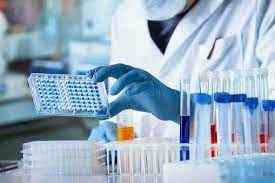 ACCURATE PATHOLOGY Images/Photos, Pithampur, Dhar