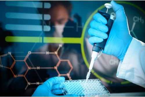 City Pathology Lab Images/Photos, Haribhau Upadhyay Nagar, Ajmer
