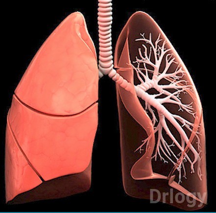 Advanced Chest Clinic Images/Photos, Pandu Nagar, Kanpur