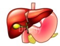 Ananya Gastroentrology Images/Photos, Ameerpet, Hyderabad