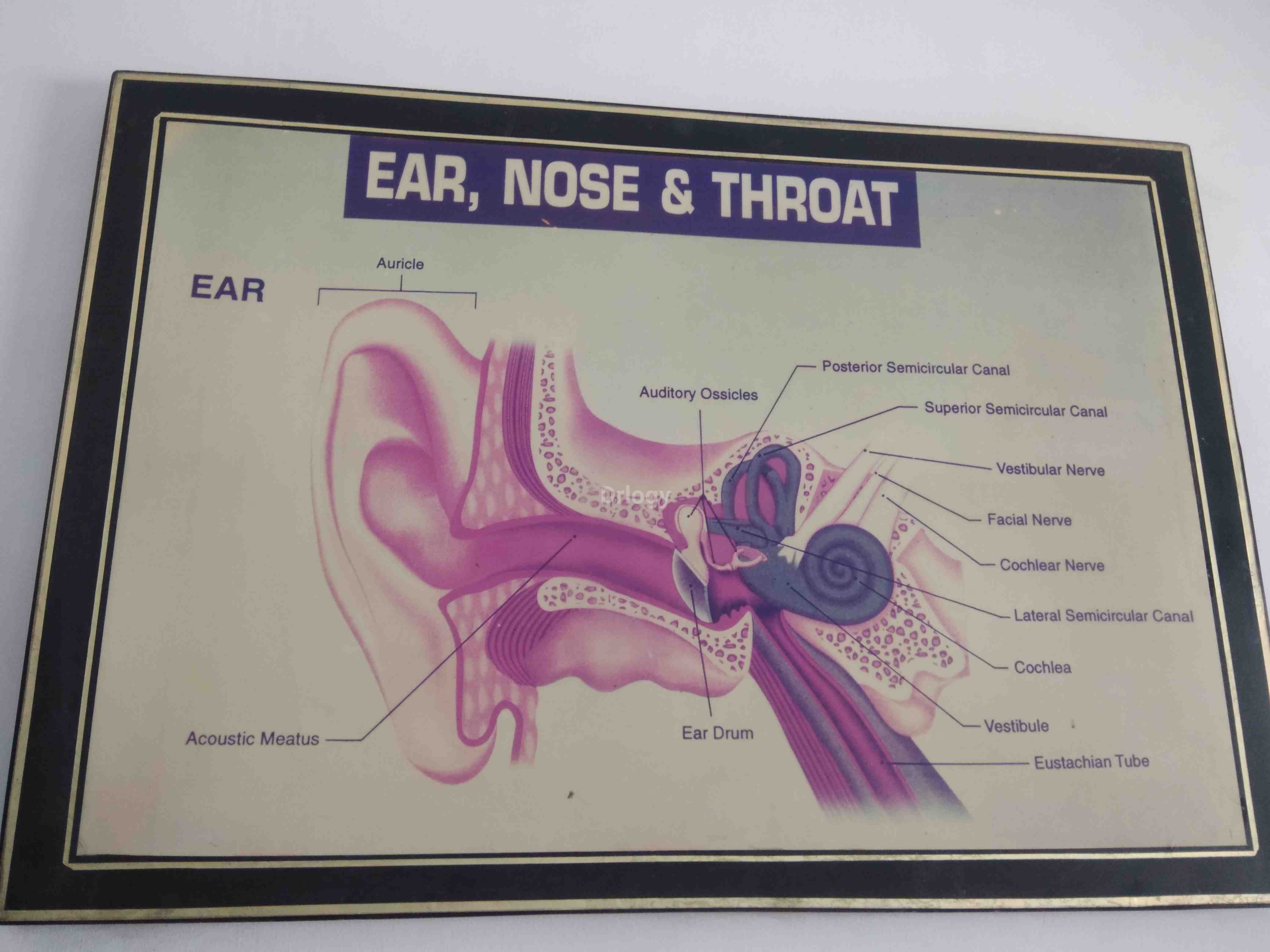 Varsani E. N. T. Surgical Hospital Images/Photos, Vidhya Nagar Main Road, Rajkot