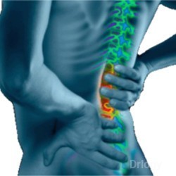 Bhopal Spine And Pain Relief Center Images/Photos, Arera Colony, Bhopal