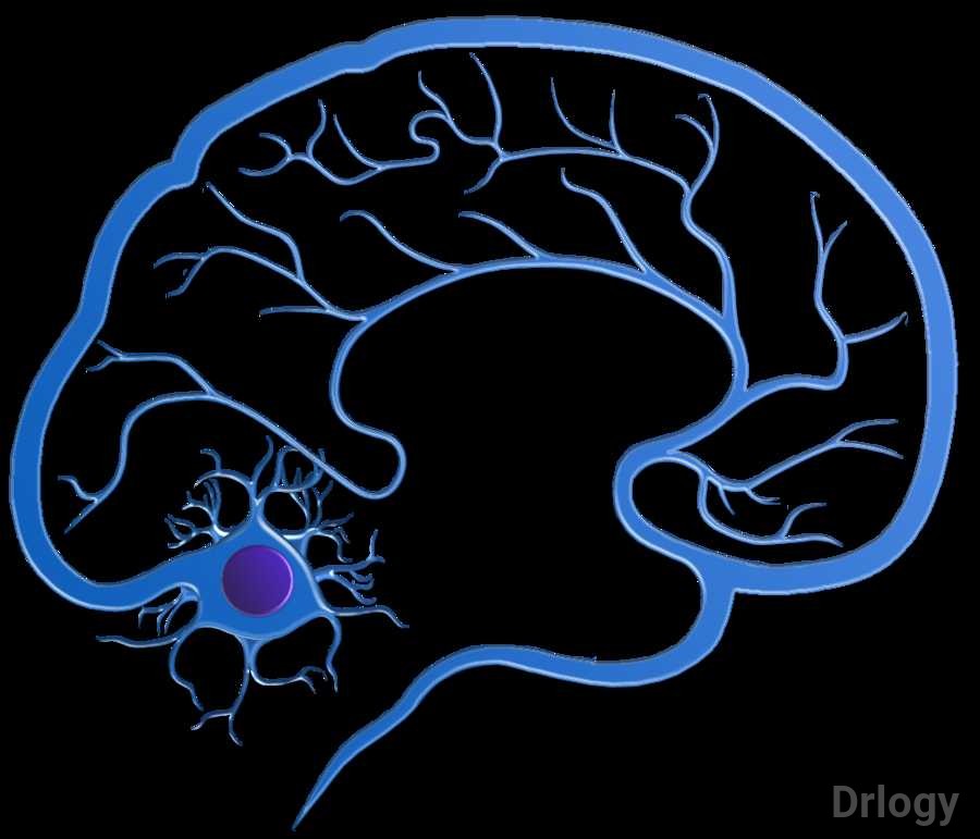 Care Neurologist'S Clinic Images/Photos, Aundh, Pune