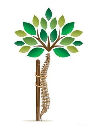 Centre For Joints, Spine And Childrens Orthopaedics Images/Photos, Rajouri Garden, New Delhi