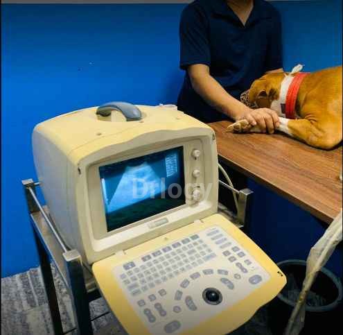 Animal Medical Centre Images/Photos, Angamaly, Kochi