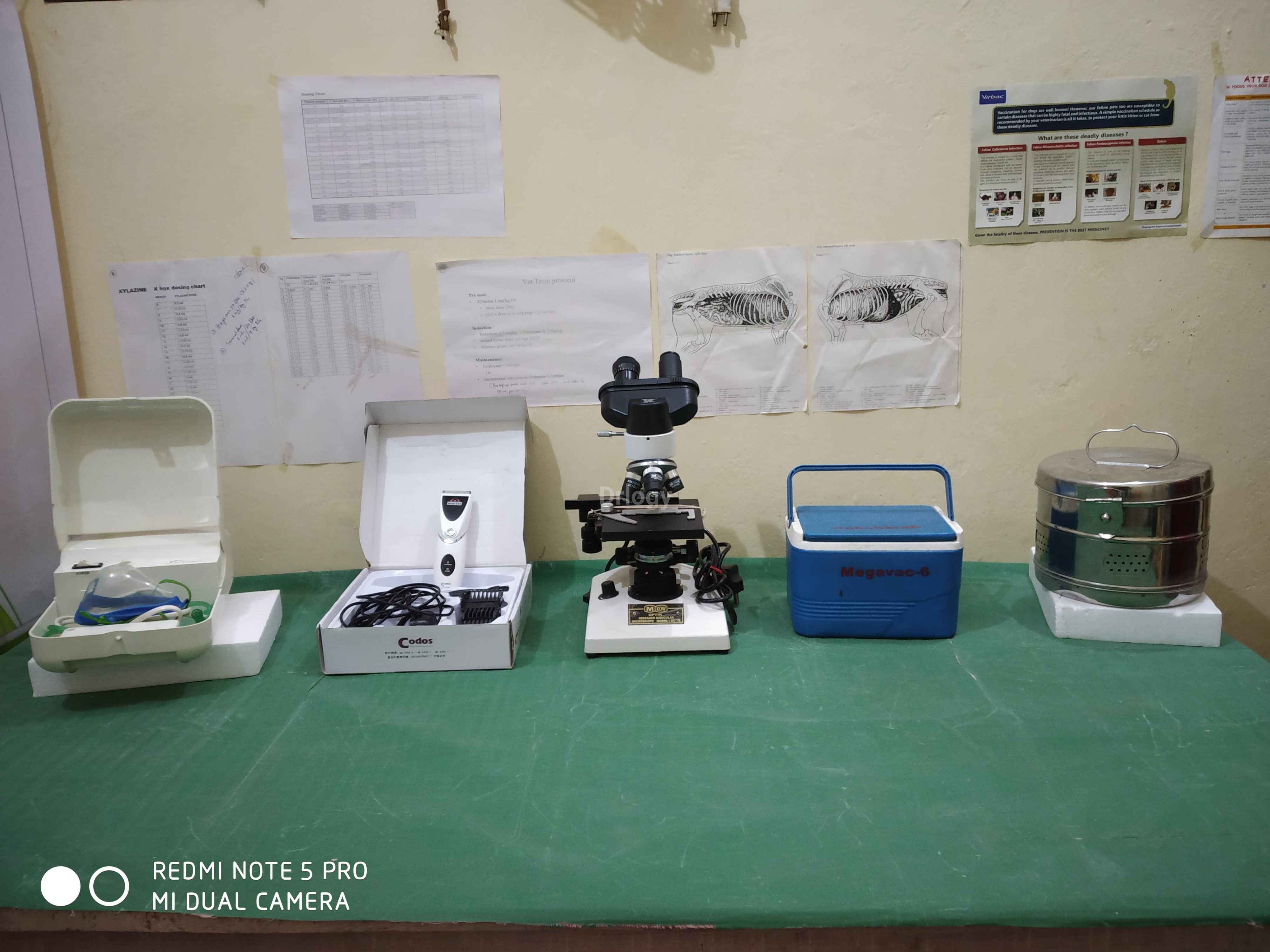 Pet Friends Dog Clinic Images/Photos, Sunderpur, Varanasi Pet Friends Dog Clinic Images/Photos, Sunderpur, Varanasi