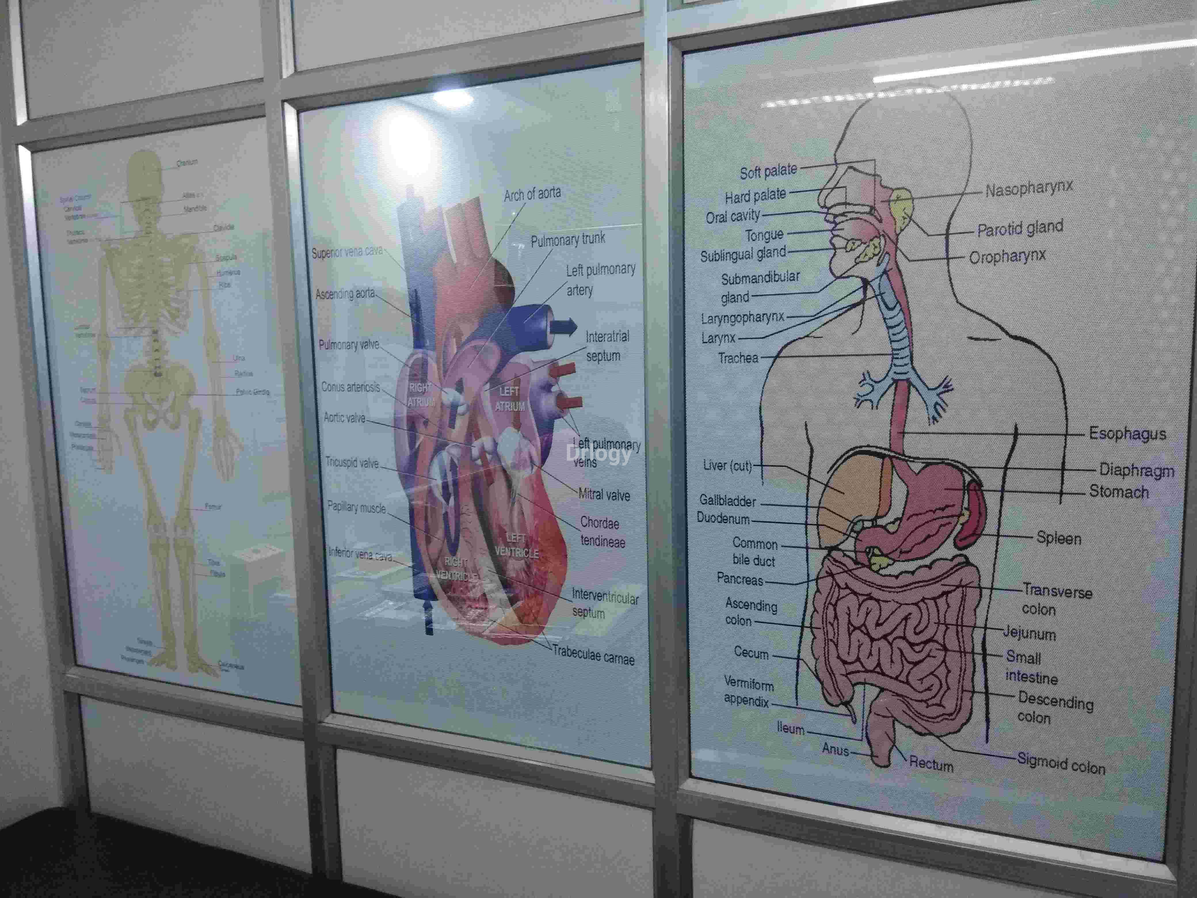 Megha Clinic Images/Photos, Santkabir Road, Rajkot