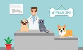 PetYaari Pet Clinic And Diagnostics Images/Photos, Hyderabad, Hyderabad