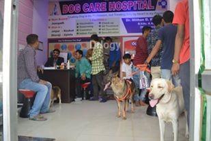 Dog Care Hospital Images/Photos, Motibag, Junagadh
