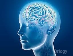 Dr Lokesh Kumar'S Neuropsychiatric&Deaddiction Images/Photos, Chanda Nagar, Hyderabad