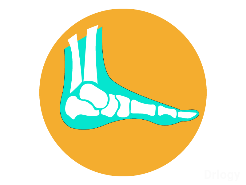 Dr. Shankar'S Orthopedic And Speciality Centre Images/Photos, Basaveshwara Nagar, Bangalore