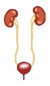 Dr. Sreedhar'S Kidney, Gyn And IVF Hospital Images/Photos, Mehdipatnam, Hyderabad