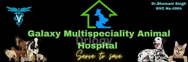 Galaxy Multispeciality Animal Hospital Images/Photos, Jamnagar, Jamnagar