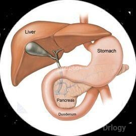 Garg Dental & Gastro Liver Clinic Images/Photos, Krishna Nagar, New Delhi