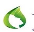 Indrayani Skin Cosmetic And Laser Clinic Images/Photos, Hadapsar, Pune