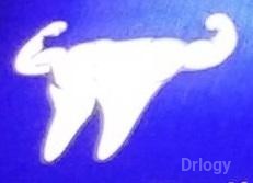 Kris Dental Care Images/Photos, Tegharia, Kolkata