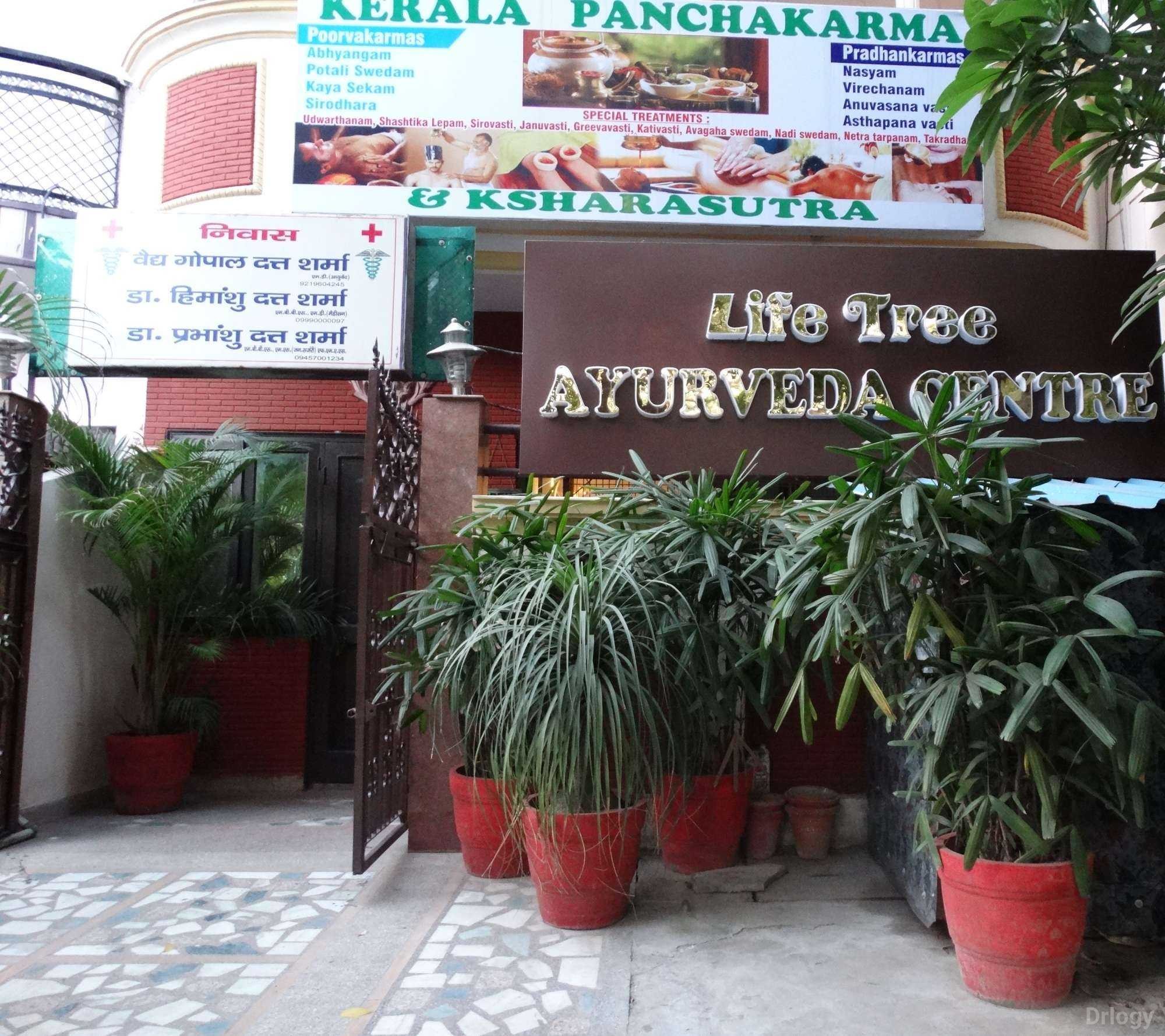 Life Tree Ayurveda Images/Photos, Indirapuram, Ghaziabad