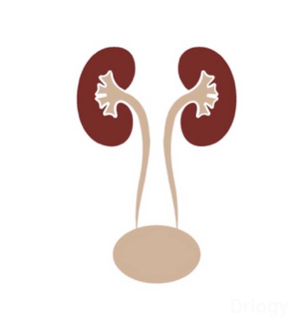 Matoshree Kidney Stone Center & UroNephro Clinic Images/Photos, Hsr Layout, Bangalore