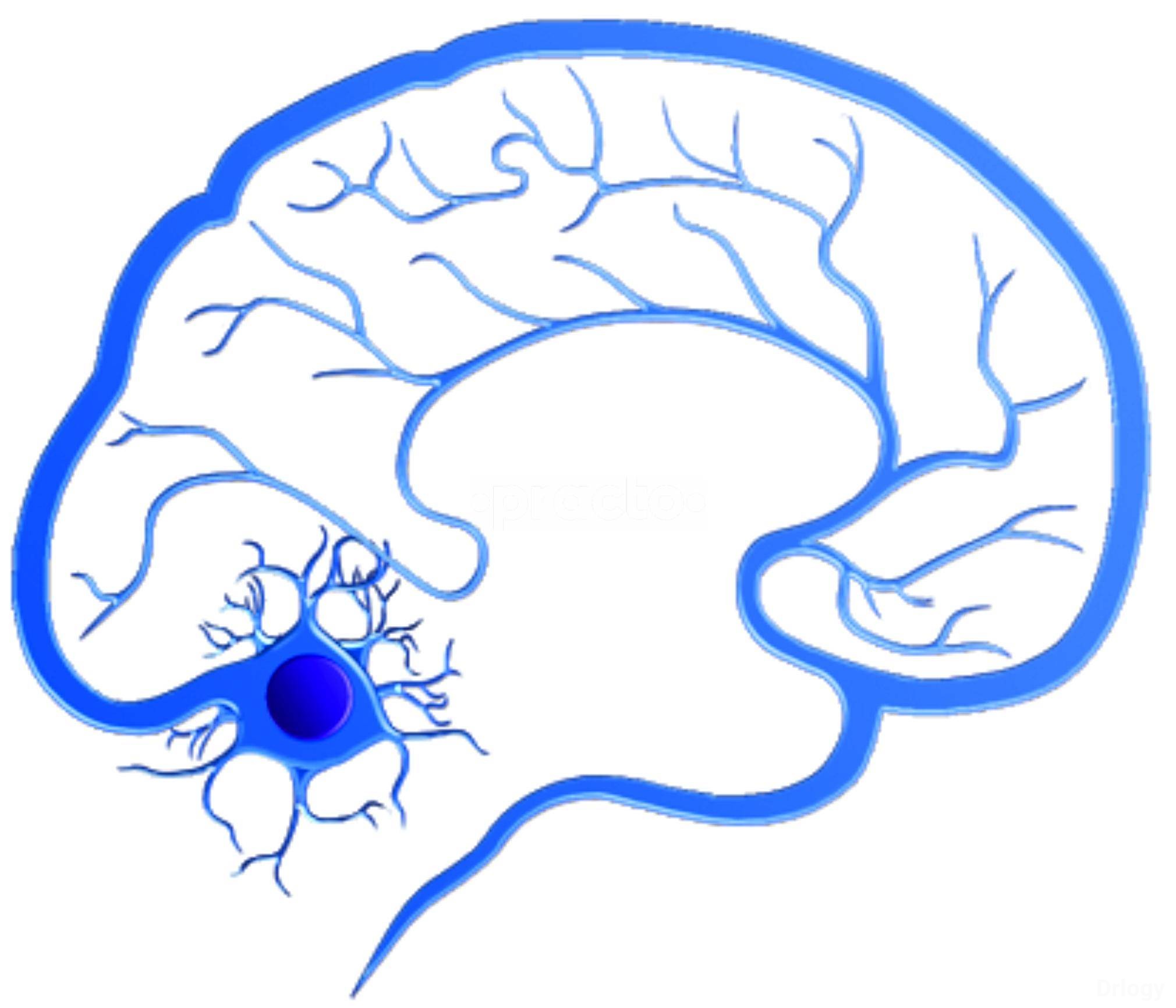 MD Neuro Clinic Images/Photos, T Nagar, Chennai MD Neuro Clinic Images/Photos, T Nagar, Chennai