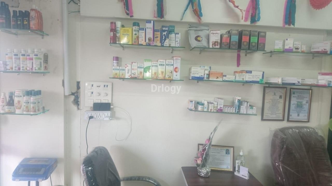 V-Care Pet Clinic Images/Photos, 150 Feet Ring Road, Rajkot V-Care Pet Clinic Images/Photos, 150 Feet Ring Road, Rajkot