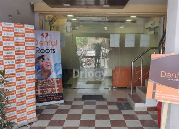 Dental Roots Images/Photos, Model Town, Ludhiana