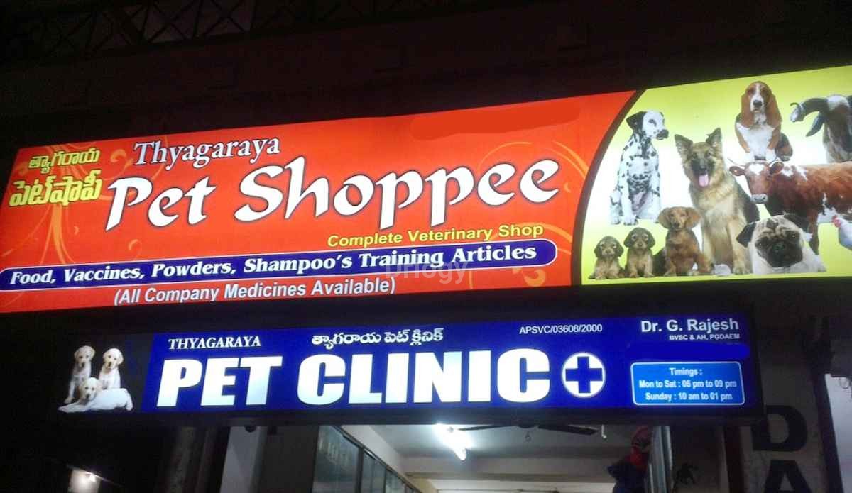 Thyagaraya Pet Clinic Images/Photos, Mvp Colony, Visakhapatnam