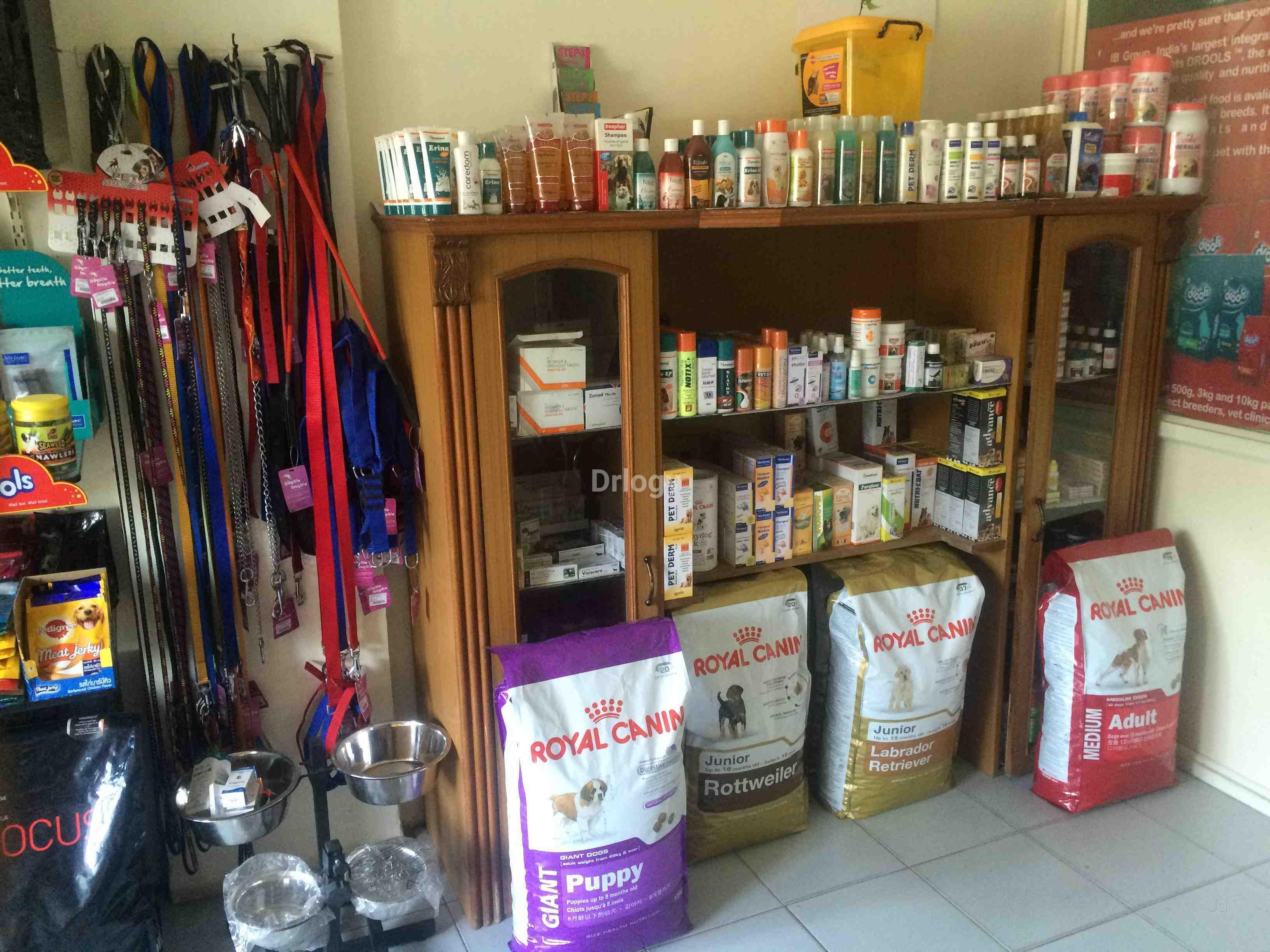 Pets & Paws Veterinary Hospital Images/Photos, Bopal (Ct), Ahmedabad