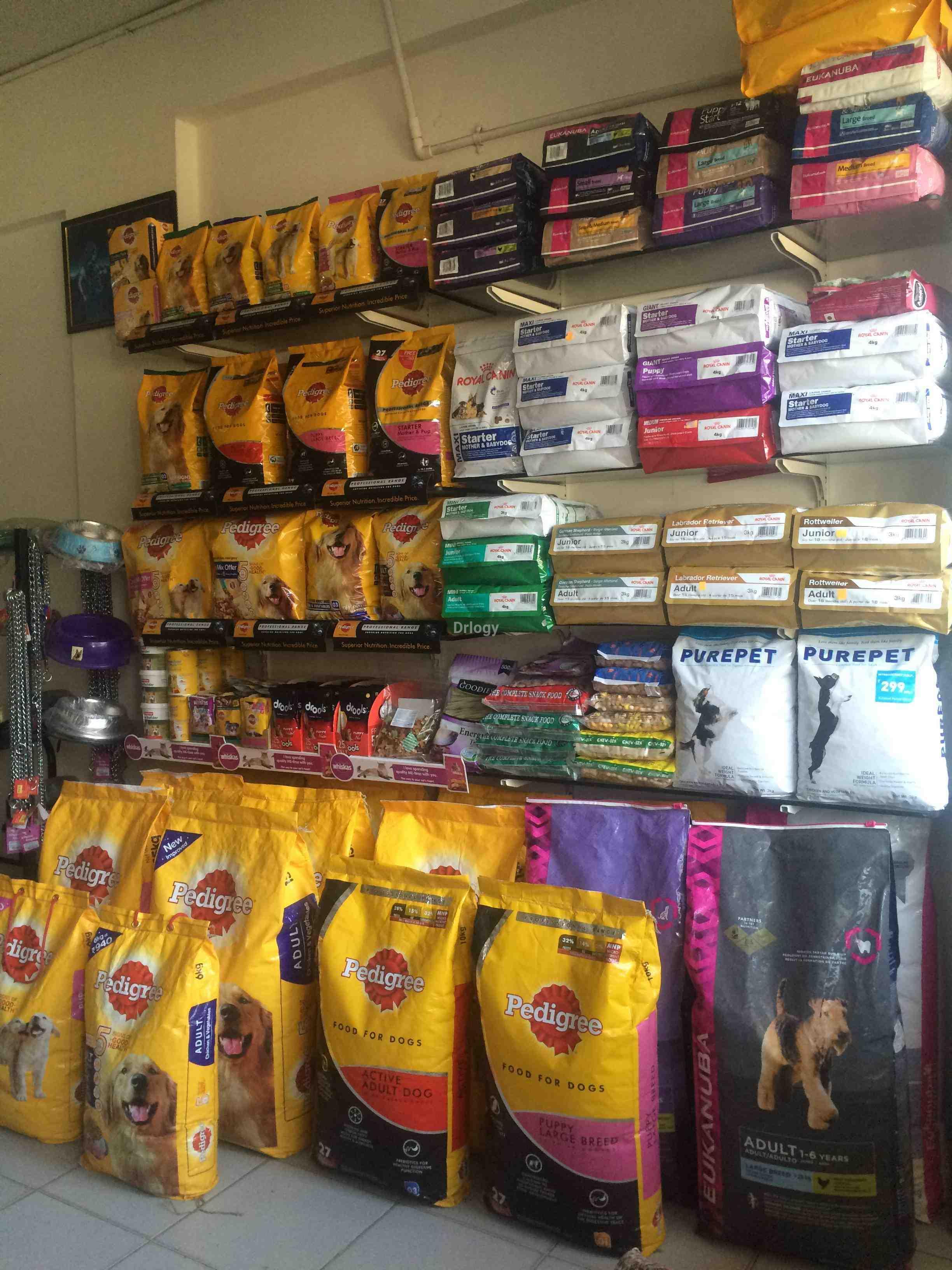 Pets & Paws Veterinary Hospital Images/Photos, Bopal (Ct), Ahmedabad