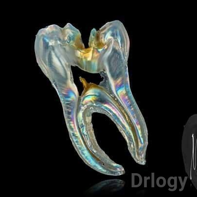 Shifa Oral Care Dental Clinic Images/Photos, Kakativas road, Belgaum