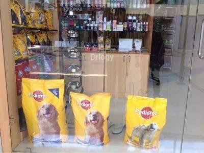 Dr. A. P.' S Pet Clinic & Shop Images/Photos, Chandkheda, Ahmedabad Dr. A. P.' S Pet Clinic & Shop Images/Photos, Chandkheda, Ahmedabad