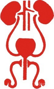 Shushrutha Urology & Andrology Clinic Images/Photos, Rajaji Nagar, Bangalore