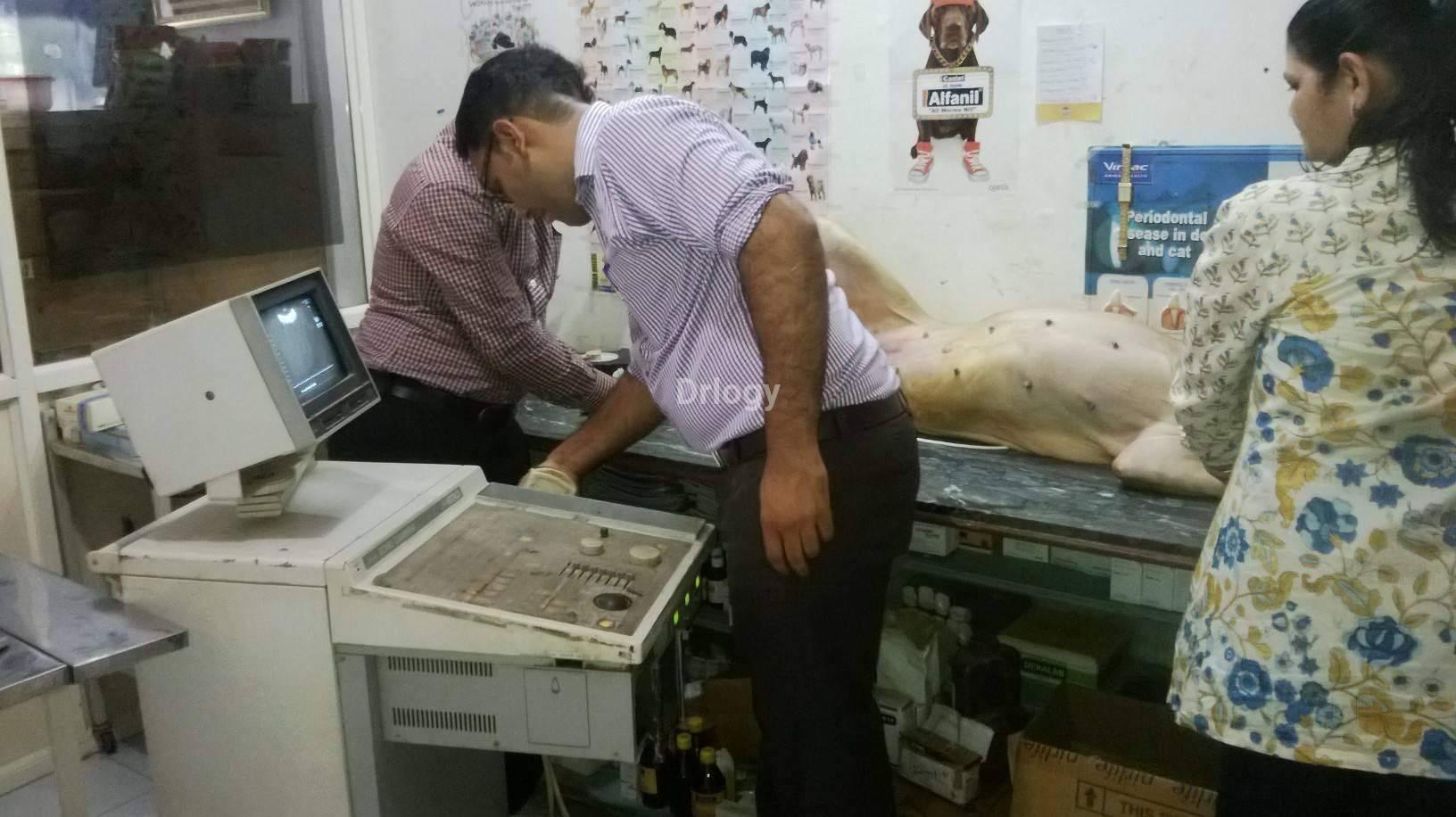 Pets & Paws Veterinary Hospital Images/Photos, Bopal (Ct), Ahmedabad