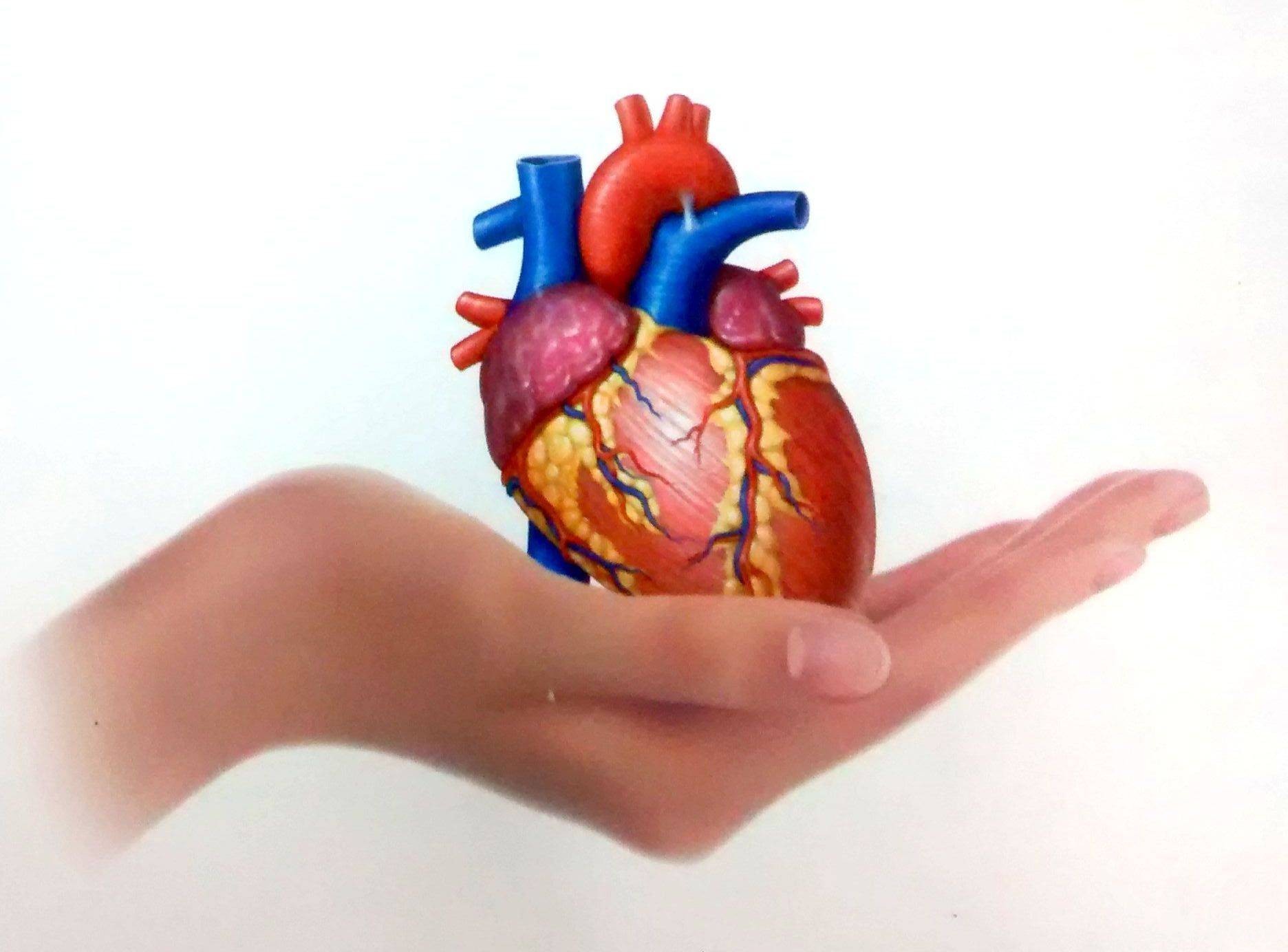 The Inamdar Heart Clinic Images/Photos, Aundh, Pune