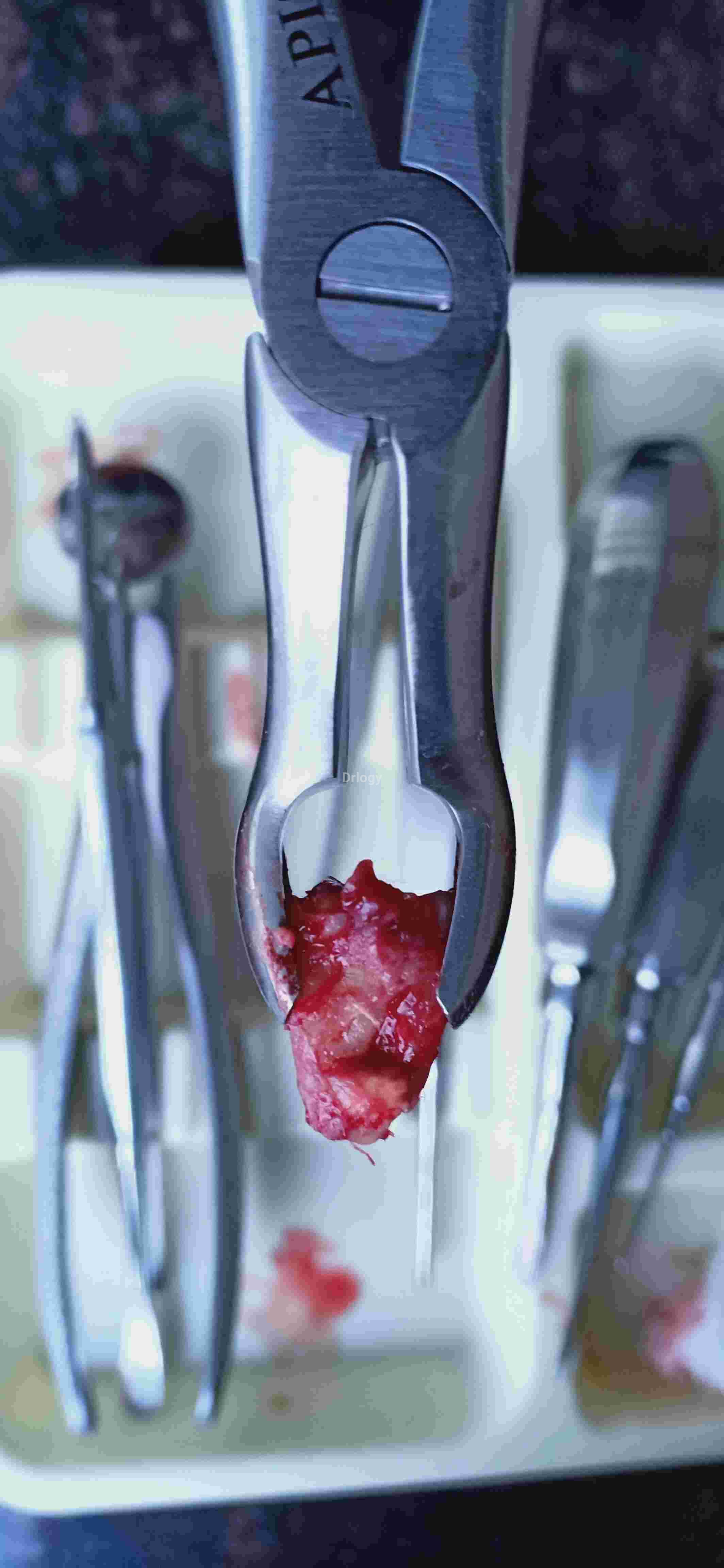 Family Dental Care Images/Photos, Khodiyar Colony, Jamnagar