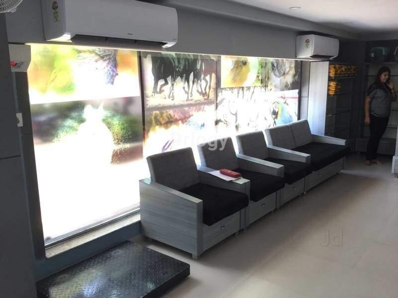 Dr. Chirag Dave'S Pets Clinic Images/Photos, Thaltej, Ahmedabad Dr. Chirag Dave'S Pets Clinic Images/Photos, Thaltej, Ahmedabad