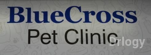 BlueCross Pet Clinic in Ahmedabad