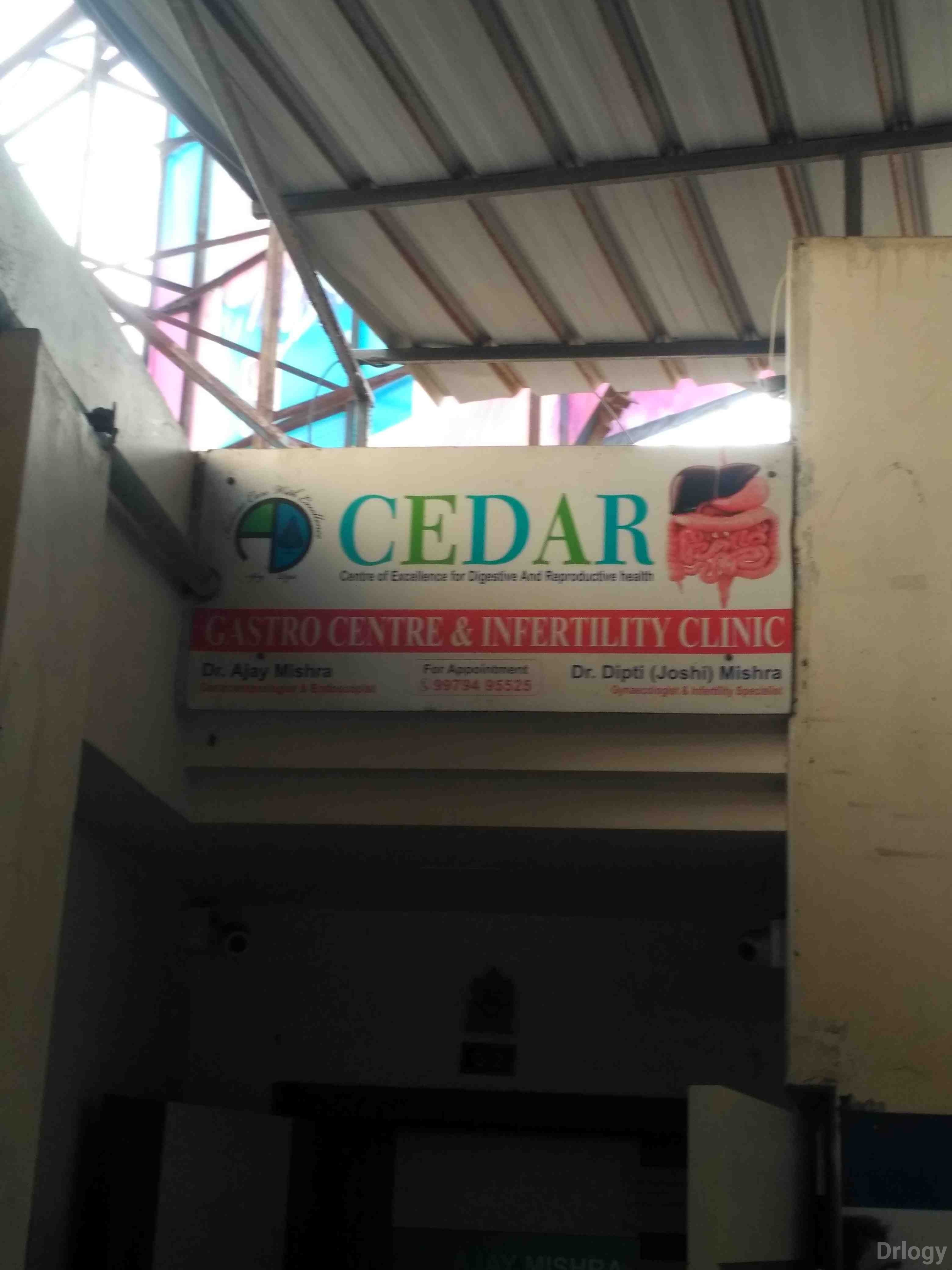 Cedar Gastro Center in Surat