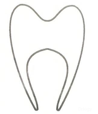 Dr Yadav's Advance Dental clinic in Gwalior