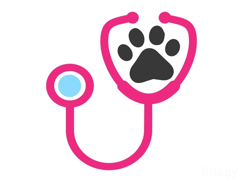 Faridabad Pet Clinic & Surgery Centre in Faridabad Faridabad Pet Clinic & Surgery Centre in Faridabad