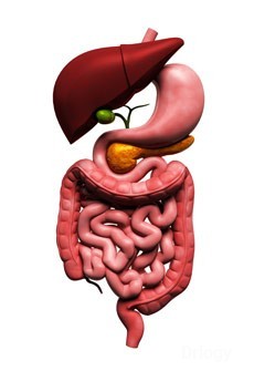 Gastro & Liver Clinic Cum Specialty Centre in New Delhi