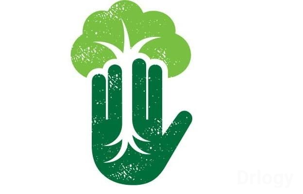 Haridra Holistic Royal Ayurvedic Treatment Centre