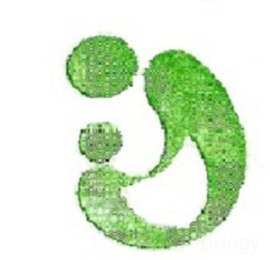 Lakshmi Maternity & Surgical Centre in Bangalore